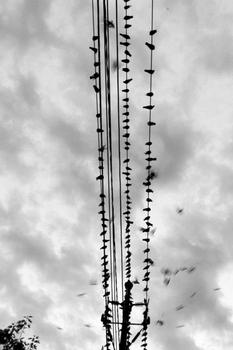 ���齫������Ƶ������������ѧ�н�ʦ����§��Ůѧ��������(ͼ)...